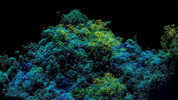 Animated LiDAR point cloud visualization